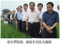 壹号娱乐 - NG大舞台,有梦你就来