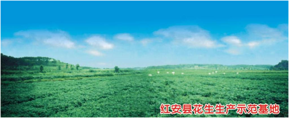 壹号娱乐 - NG大舞台,有梦你就来
