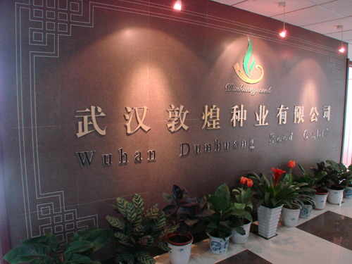 壹号娱乐 - NG大舞台,有梦你就来